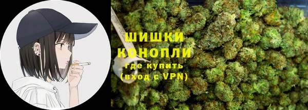 дживик Мегион
