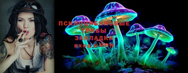 2c-b Медвежьегорск