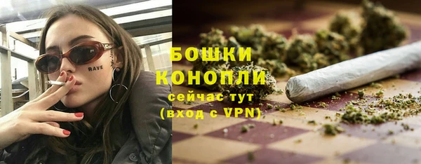 дживик Мегион